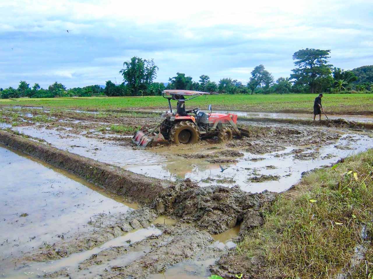 カンボジアで活躍する農業機械